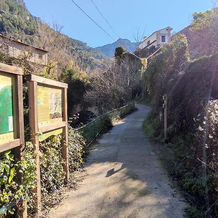 Alojamientos Puerta Del Parque Cazorla Kamer foto
