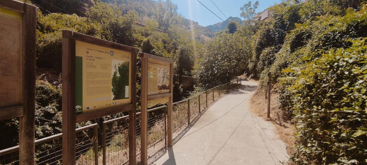 Alojamientos Puerta Del Parque Cazorla Buitenkant foto